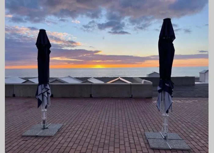 Tout A Pied, 100M De La Plage! Grand 2 Pieces Cosy